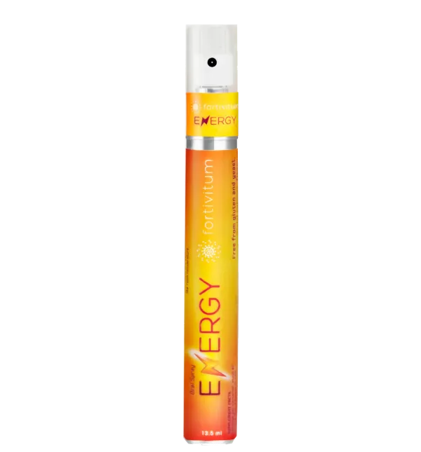 ENERGIJA – MAISTO PAPILDAS