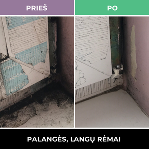 Pelėsio valiklis - Mould Cleaner 0.5 l