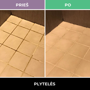 Pelėsio valiklis - Mould Cleaner 0.5 l