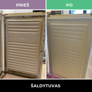 Pelėsio valiklis - Mould Cleaner 0.5 l