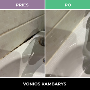 Pelėsio valiklis - Mould Cleaner 0.5 l